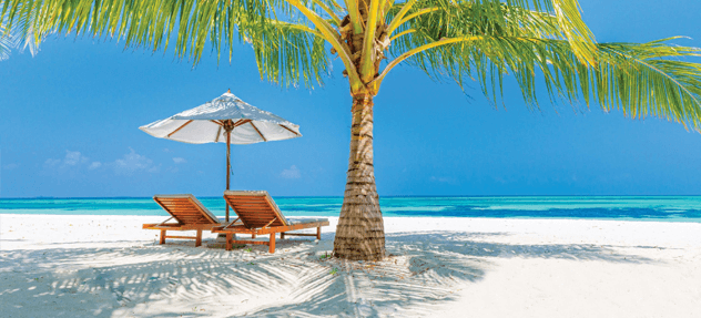 DSG plus loyalty and partnership program